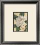 Morning Magnolia by Waltrand Von Schwarzbek Limited Edition Pricing Art Print