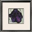 Purple Petunia by Georgia O'keeffe Limited Edition Pricing Art Print