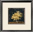 Jap Maple Xiii by Lorraine Roy Limited Edition Print