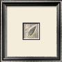 Elm Leaf by Diane Kline Limited Edition Print