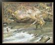 Trout Stream by James M. Sessions Limited Edition Print