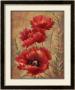 Poppy Passion Ii by Elaine Vollherbst-Lane Limited Edition Print