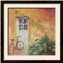 Bicycle With Plants by Klaus Gohlke Limited Edition Print