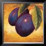 Luscious Plums by Marco Fabiano Limited Edition Pricing Art Print