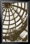 Pergola Basket by Meg Mccomb Limited Edition Print