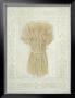 Wheat Hugs by R. Graves Limited Edition Print