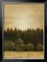 Treeline Sunset I by Ethan Harper Limited Edition Print
