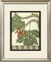 Arts And Crafts Figs by Jennifer Goldberger Limited Edition Print