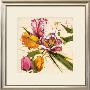 Spring Tulips by Antonio Massa Limited Edition Print