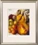 A Bountiful Harvest by Sylvia Angeli Limited Edition Pricing Art Print