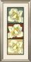 Tricolore Iii by Jennifer Goldberger Limited Edition Pricing Art Print