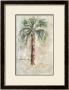 Palm Expression I by Barbara Klein Craig Limited Edition Print