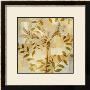 Lily Dreams by Erin Lange Limited Edition Pricing Art Print