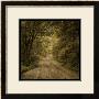 Flannery Fork Road No. 1 by John Golden Limited Edition Print