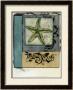 Starfish Composition Ii by Jennifer Goldberger Limited Edition Print