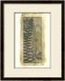 Woodland Fern Forest Iii by Jennifer Goldberger Limited Edition Pricing Art Print
