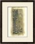 Woodland Fern Forest Iii by Jennifer Goldberger Limited Edition Print