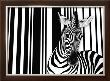 Zebra I by Tim Flach Limited Edition Pricing Art Print