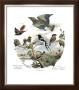 Asian Birds by Edouard Travies Limited Edition Print