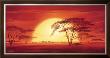 Sunrise With Elephants by Leon Wells Limited Edition Print