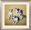 Cotswold Foxhounds by Gary Stinton Limited Edition Print