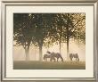 Horses In The Mist by Monte Nagler Limited Edition Print