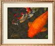 Green Rock Japanese Koi Ii by Erichan Limited Edition Pricing Art Print
