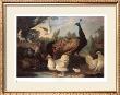 Melchior D'hondecoeter Pricing Limited Edition Prints