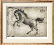 Roman Horse Ii by Ethan Harper Limited Edition Print