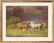 Arabians After A Storm by Jenness Cortez Limited Edition Pricing Art Print