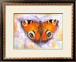 Butterflies Of The World by Tiffany Budd Limited Edition Print