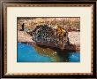 Okonjima, Namibia by Roland Lobig Limited Edition Print