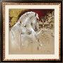 White Elegance by Joadoor Limited Edition Print