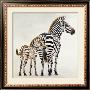 Zebre Et Son Petit De Ndutu by Danielle Beck Limited Edition Print