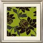 Chocolate Lily On Lime by Isabel Price Limited Edition Pricing Art Print