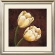 Ornamental Tulips by Andres Gonzales Limited Edition Print