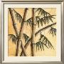 Bambou Creme by Caroline Wenig Limited Edition Print