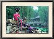 Garden Of Fragrant Light by Basil Pao Limited Edition Print