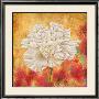 Peony Dawn Ii by Sophia Sanchez Limited Edition Pricing Art Print