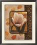 White Tulip by T. C. Chiu Limited Edition Print