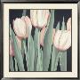 Tulips Harmony Ii by Franz Heigl Limited Edition Pricing Art Print