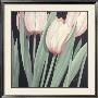 Tulips Harmony I by Franz Heigl Limited Edition Print