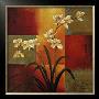 White Orchid by Jill Deveraux Limited Edition Pricing Art Print