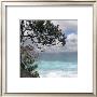 Tropical Surf by Mark Goodall Limited Edition Print