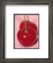Bigarreau Cherries Ii by Sara Deluca Limited Edition Pricing Art Print