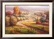 Vineyard View Ii by Roberto Lombardi Limited Edition Print