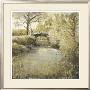 Creekside View by P. Patrick Limited Edition Print