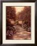 Dumbarton Oaks by Betsy Brown Limited Edition Print