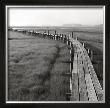 The Boardwalk, Early by Dorothy Kerper Monnelly Limited Edition Print