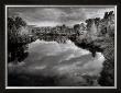 Yampa River Idyll by J. D. Marston Limited Edition Print